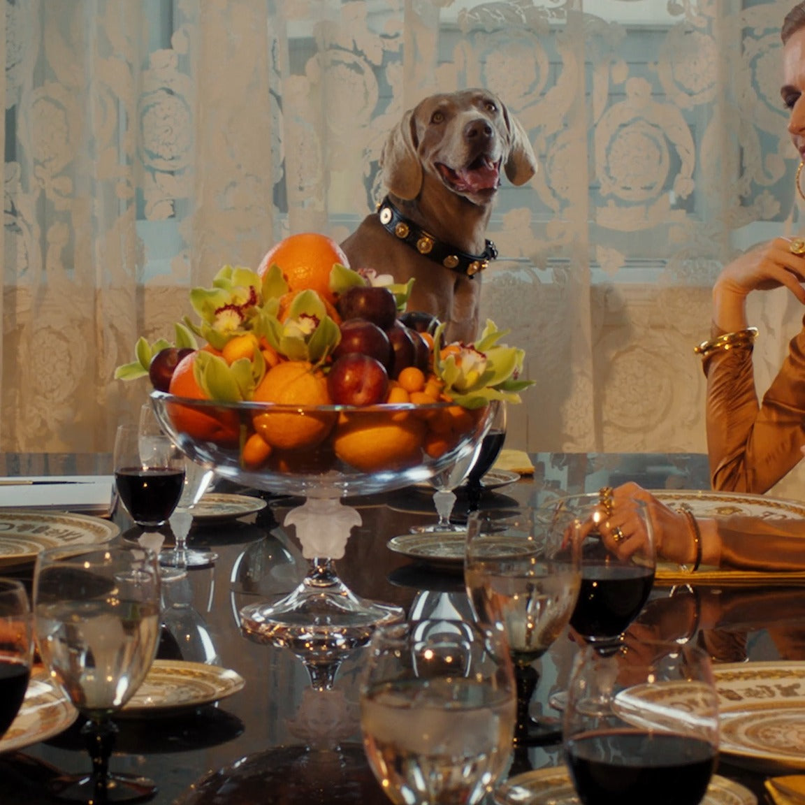 【VERSACE x ROSENTHAL – VIRTUS GALA  維爾圖斯盛宴】