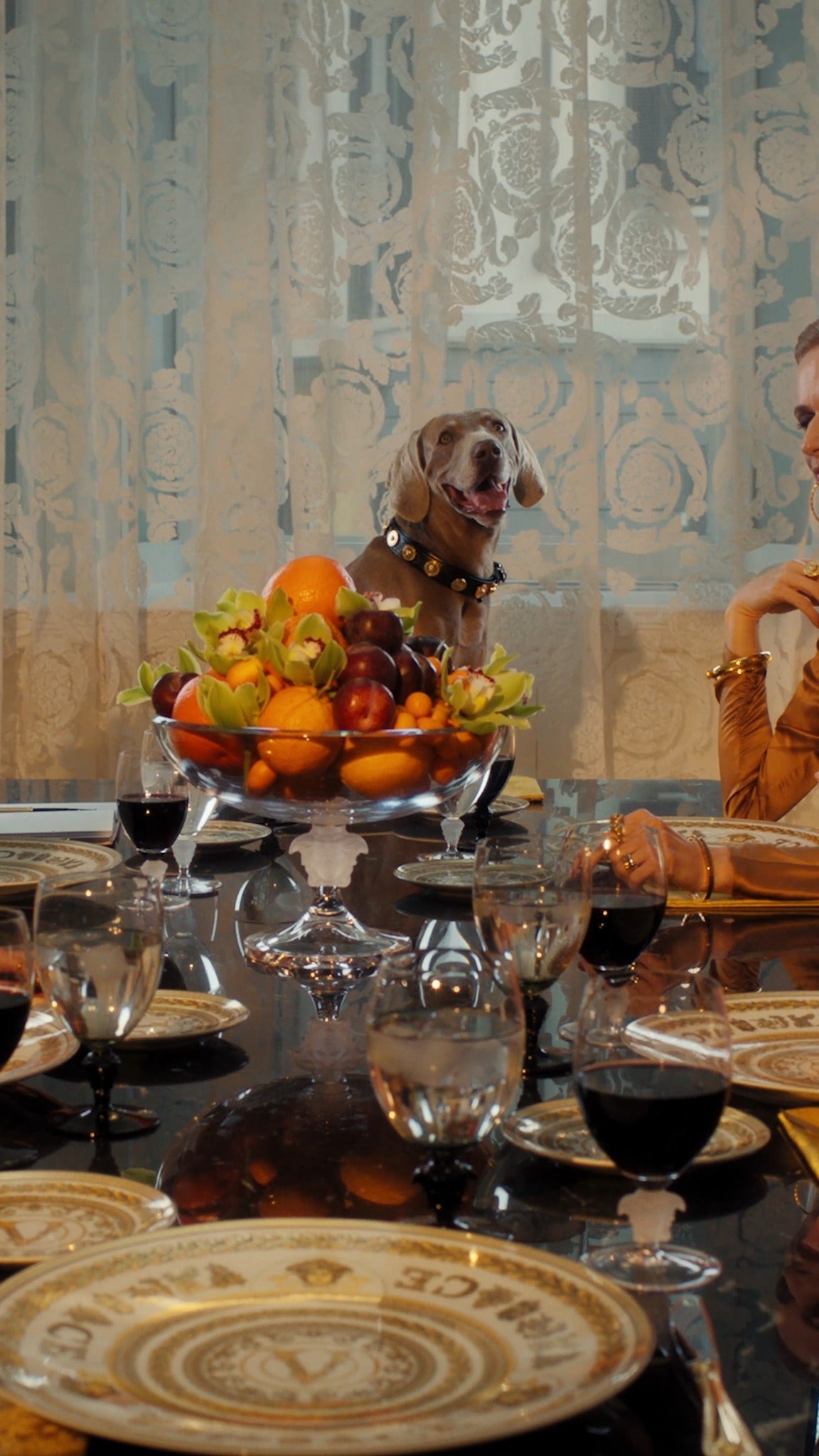 【VERSACE x ROSENTHAL – VIRTUS GALA  維爾圖斯盛宴】