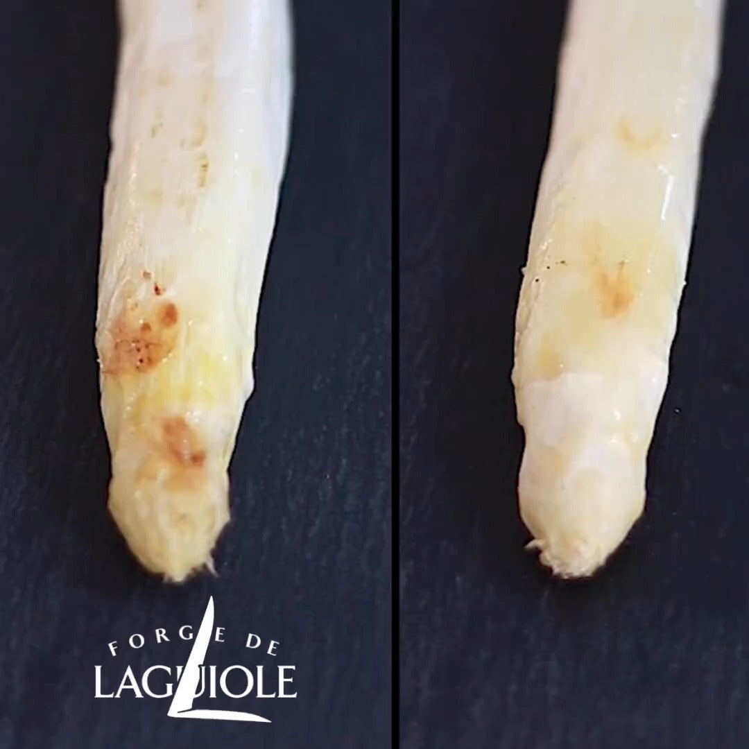 【🇫🇷 法國 Forge de Laguiole 餐刀】