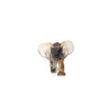 DAUM | Small Elephant Savana by Isabelle Carabantes - Limited Edition