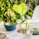 ROSENTHAL | 玻璃裝飾果盤 21cm - 綠