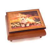 ERCOLANO | Lonely Dog - Music and Jewellery Box 15x11x7cm