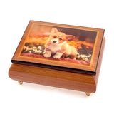 ERCOLANO | Lonely Dog - Music and Jewellery Box 15x11x7cm