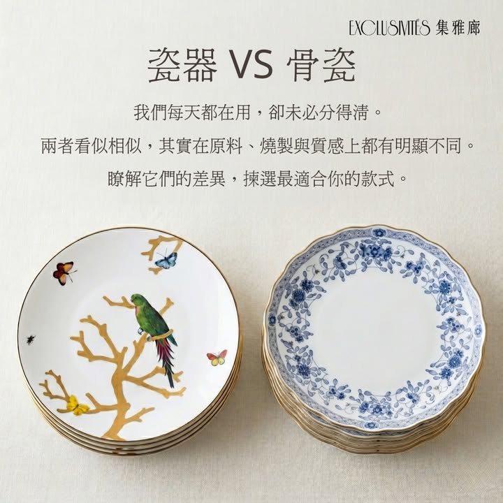 【集雅廊生活小知識】- 瓷器與骨瓷，你分得清嗎？