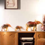 DAUM | 小象擺設 Isabelle Carabantes - 限量版