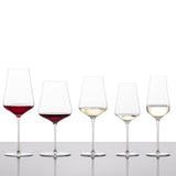 ZWIESEL GLAS | Duo      手工+機器製造 多功能酒杯對裝