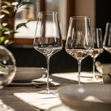 ZWIESEL GLAS | Duo      手工+機器製造 多功能酒杯對裝