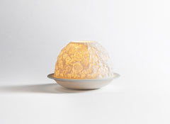 BERNARDAUD | Voltivelight Wildflowers