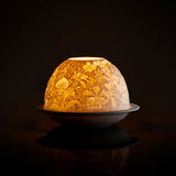 BERNARDAUD | Voltivelight Orchids