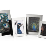 PHILIPPI | CELESTE Frame 13x18cm