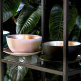 ROSENTHAL | 玻璃裝飾果盤 21cm - 粉红