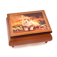 ERCOLANO | Lonely Dog - Music and Jewellery Box 15x11x7cm