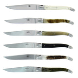 FORGE DE LAGUIOLE | Table Knife, Set of 6 With Different Handle, Shiny Finish