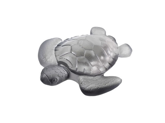 DAUM | Sea Turtle Grey 6.3cm