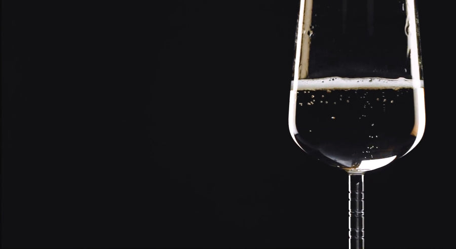 ZWIESEL GLAS | Journey Champagne Set of 2