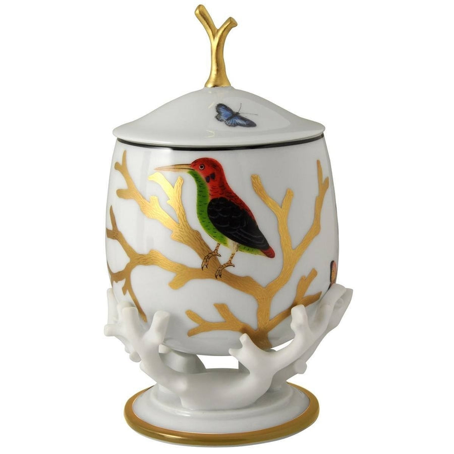 BERNARDAUD | Aux Oiseaux Box with Lid