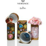 VERSACE | Medusa Amplified 彩色瓷器花瓶 18cm 