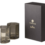 VERSACE | Medusa Lumiere 霧色水晶威士忌杯一對