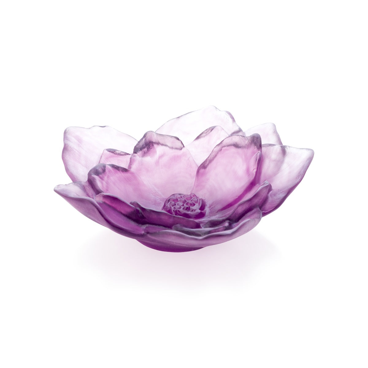DAUM | Camelia Violet Small Coupe 13.5cm
