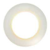 HAVILAND | Souffle d'Or 餐碟 28cm