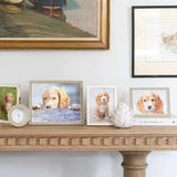 ADDISON ROSS | White Enamel with Gold Frame