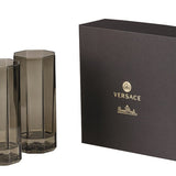 VERSACE | Medusa Lumiere 霧色水晶長飲杯一對